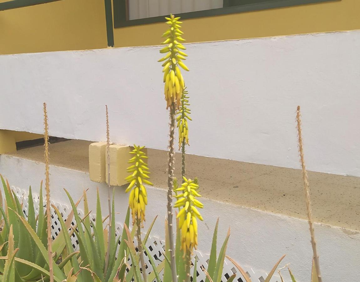 Caroni Lägenhet Playa del Inglés Exteriör bild